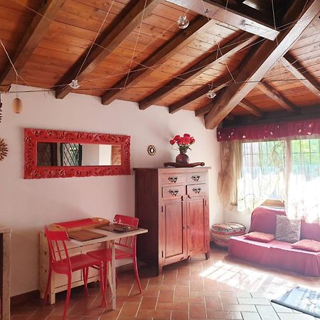 Il Ninfeo " Le Cocon" Appartamento Zagarolo Exterior foto